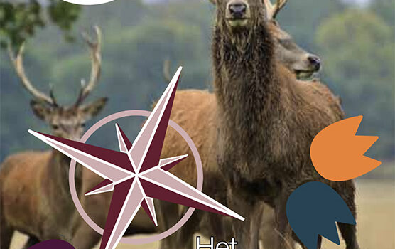 Cover van het blad van Vereniging van Senioren Hillegom, november 2025 editie. Op de cover een foto van een groot hert. In de linker bovenhoek het logo van de vereniging en onder een paarse balk met in diapositief tekst met inhoud van het nummer.